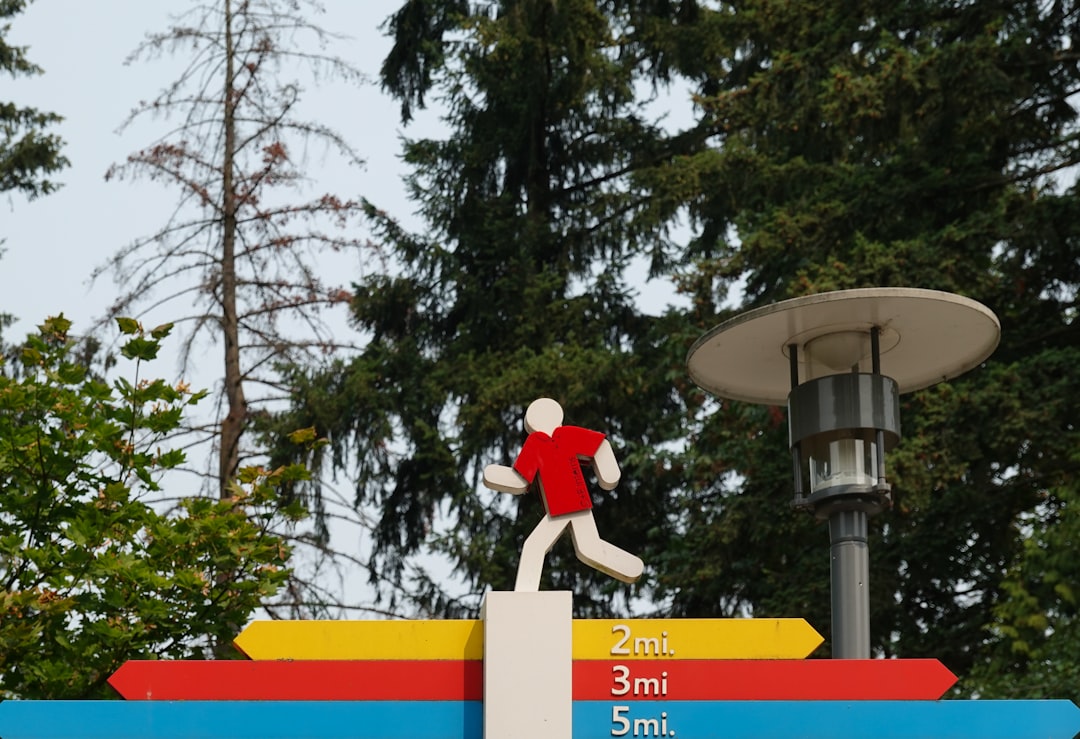 a person on a roof