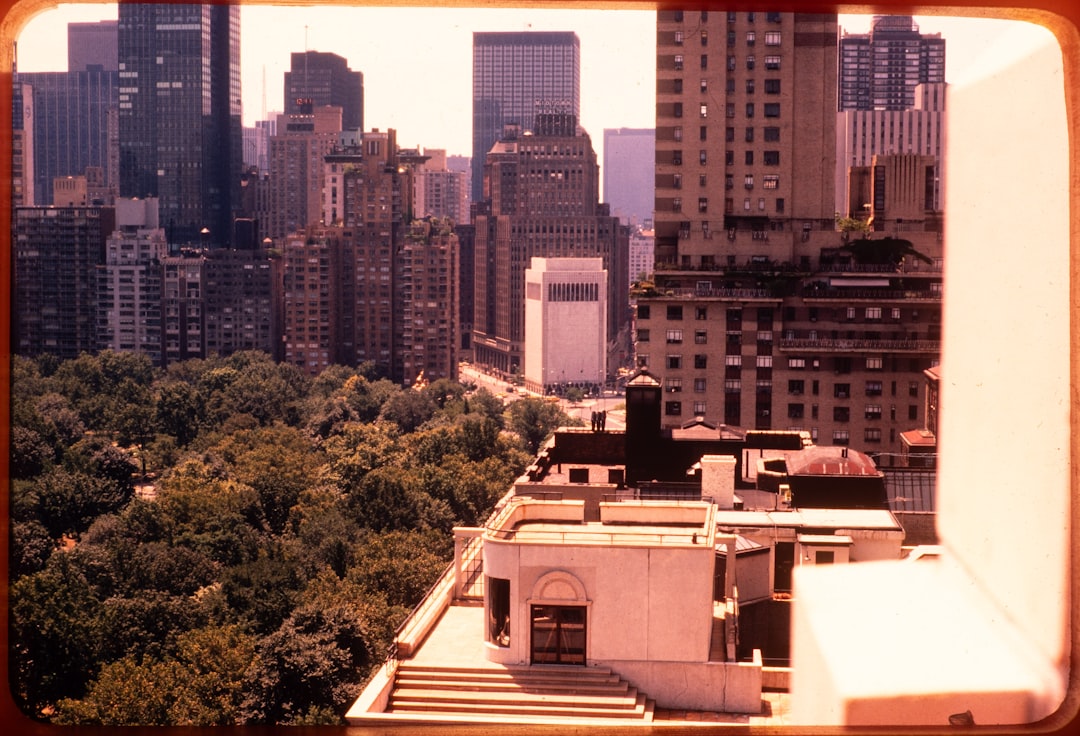 New york city skyline overlooking central park trees