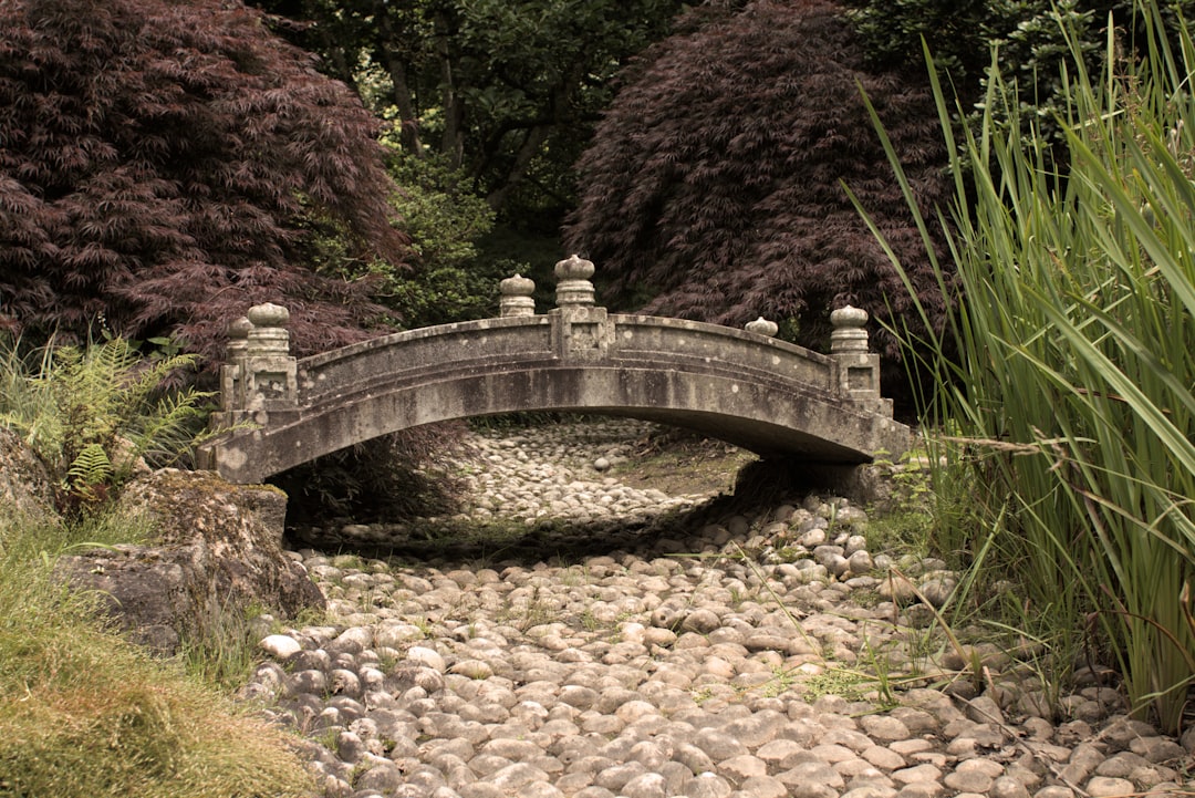 花園中溪流上的石橋