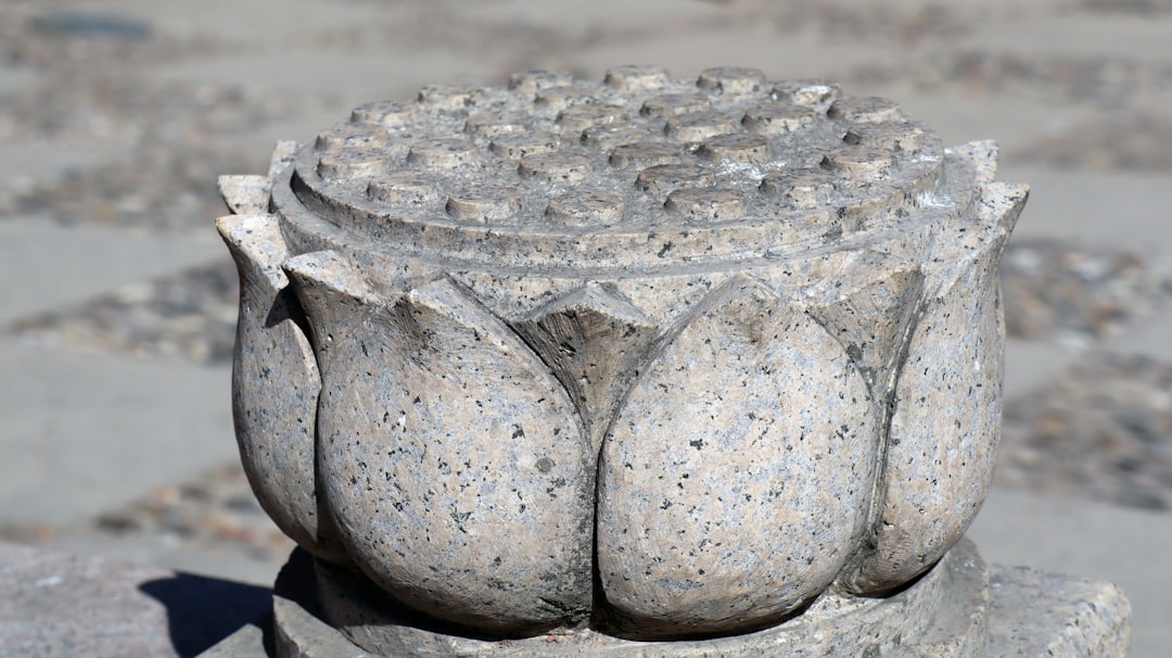 a close up of a rock