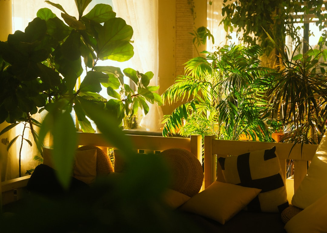 Sunlight streams through lush indoor plants and cushions.